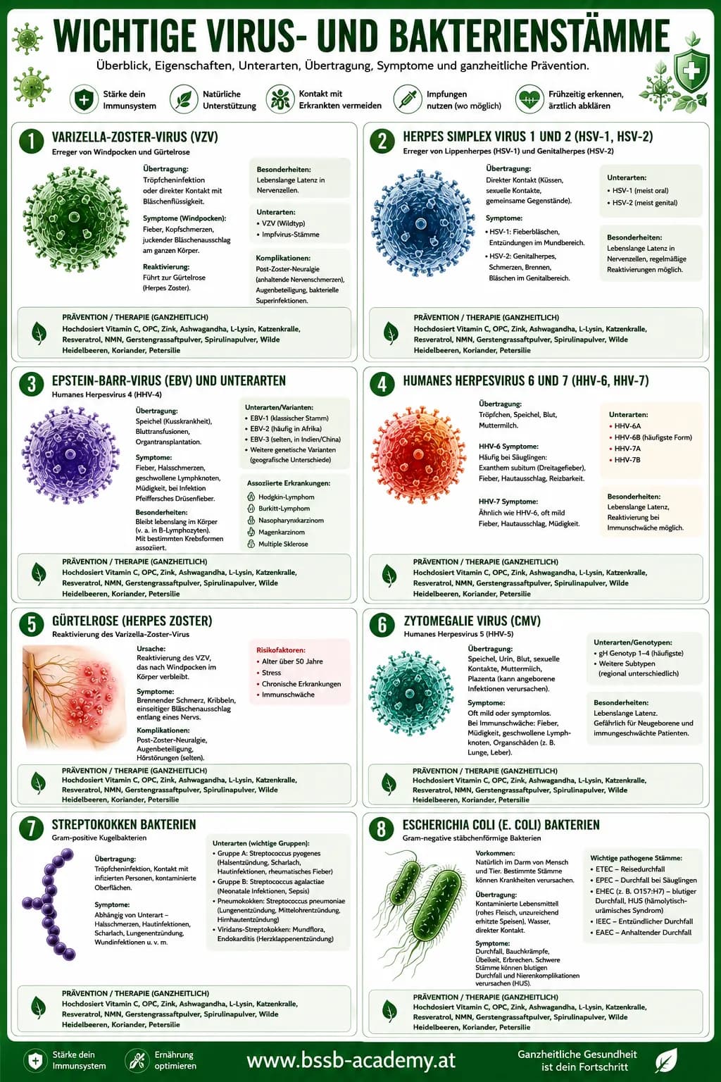 Virus- und Bakterienstämme